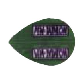 Misaladejuegos Pluma Pentathlon Original Verde Oscuro Oval - Imagen 2