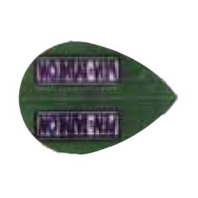 Misaladejuegos Pluma Pentathlon Original Verde Oscuro Oval - Imagen 3