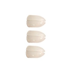 Misaladejuegos Champagne Ring Shell Lock Blanco Natural SLR-MW - Imagen 2