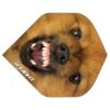 Misaladejuegos Pluma Ruthless Invincible Standard Perro INV-26 - Imagen 2