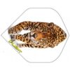Misaladejuegos Pluma Ruthless Invincible Standard Tigre INV-49 - Imagen 2