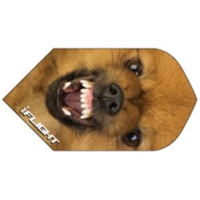 Misaladejuegos Pluma Ruthless Invincible Slim Perro INV-814 - Imagen 2