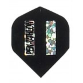 Misaladejuegos Plumas Pentathlon Standard 2D Negra 2342