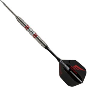 Misaladejuegos Dardos Cosmo Darts Discovery Label David Cameron Steel 90% 24gr - Imagen 3
