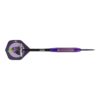 Misaladejuegos Dardos Bulls Darts Dirk van Duijvenbode Aubergenius Brass Steel 21gr  BU-24321