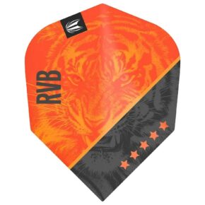 Misaladejuegos Plumas Target Raymond Van Barneveld Gen4 Pro Ultra NO6 330820 - Imagen 2