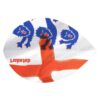 Misaladejuegos Pluma Dardos Datadart CMF Flight Lion England CMF25 - Imagen 2