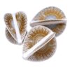 Misaladejuegos Plumas Fit Flight Pro Series D-5 Kota Suzuki Blanco - Imagen 3