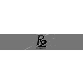 Misaladejuegos Dardos One Revolution R2 Normal ReSurge 90% 24g 9138 - Imagen 3