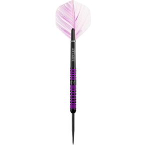 Misaladejuegos Dardos Loxley Darts Cyclone 24g 90% Punta Acero - Imagen 3