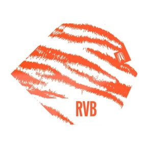 Misaladejuegos Plumas Target RVB Brass Raymond van Barneveld Pro.Ultra No.2 Standard Blanco 337000 - Imagen 3