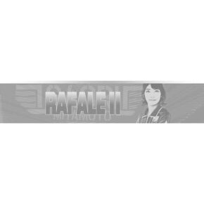 Misaladejuegos Dardos One80 Saori Miyamoto Signature Rafale II Chameleon 21g 90% 9375 - Imagen 3