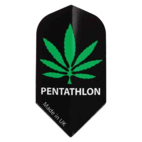 Misaladejuegos Plumas Pentathlon Slim Maria