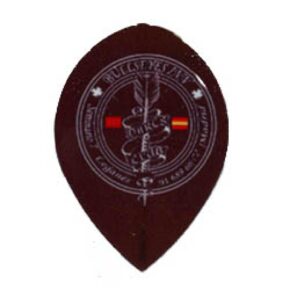 Misaladejuegos Pluma ruthless r4x oval Bullshelles Negra