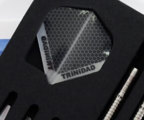 Misaladejuegos Dardos Trinidad Darts James BaIley JAMES Type 3 Steel 95% 20.5G - Imagen 4