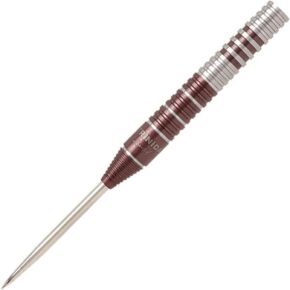 Misaladejuegos Dardos Trinidad Darts Kid Type 2 Tomoya Goto 95% 24g
