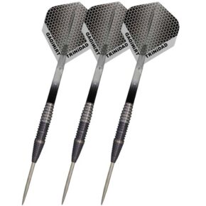 Misaladejuegos Dardos Trinidad Darts Gonzalez Type 5 P. Metal 90% 20g - Imagen 2