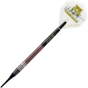 Misaladejuegos Dardos Trinidad Darts Kid Type 2 Tomoya Goto Soft 95% 20g - Imagen 5