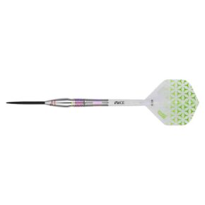 Misaladejuegos Dardos One80 Lukas Wenig V2 R2 22g 90% 9620