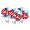 Misaladejuegos Plumas Flights Red Dragon Gian van Veen Red White and Blue Hardcore Standard TF8161 - Imagen 2