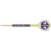 Misaladejuegos Dardos Target Darts Luke Littler World Champion 2025 SP 90% 23gr 190700