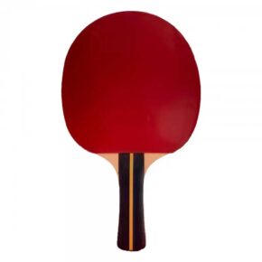 Misaladejuegos Raqueta Tenis Mesa Softee P200 A002565
