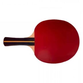Misaladejuegos Raqueta Tenis Mesa Softee P200 A002565 - Imagen 3