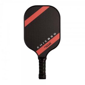 Misaladejuegos Pala Pickleball Softjim Chicago 0014903
