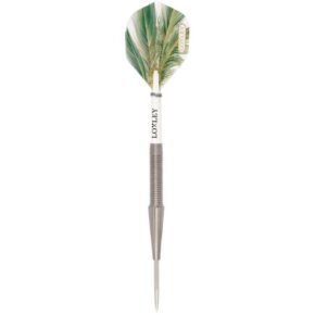 Misaladejuegos Dardos Loxley Darts Robin Pro Tour Model 1 90% 21g Punta Acero - Imagen 2