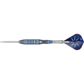 Misaladejuegos Dardos Target Phil Taylor Power Gx2 SP 95% 22g 190490